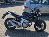 SUZUKI GLADIUS