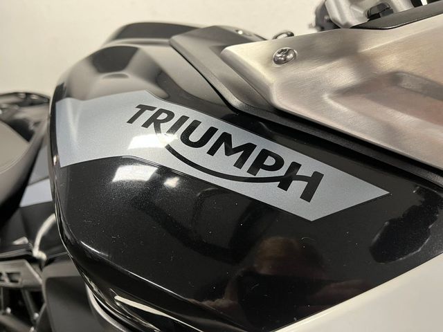triumph - tiger-900-rally-pro
