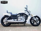 HARLEY-DAVIDSON V-ROD MUSCLE VRSCF