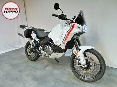 DUCATI DESERTX – foto 2