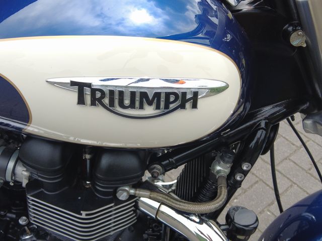 triumph - bonneville-america