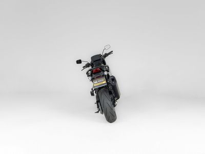 HARLEY-DAVIDSON PAN AMERICA 1250 ST – foto 3
