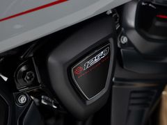 Harley-Davidson RA1250ST Pan America ST Billiard Grey 2025 nieuw – foto 19 van 20