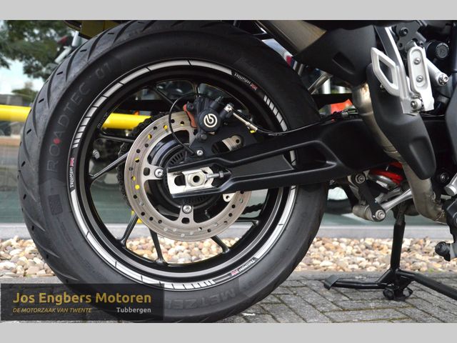 triumph - tiger-900-gt-pro