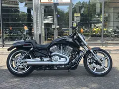 Harley-Davidson Vrscf V-ROD Muscle 2009 occasion – foto 8 van 17