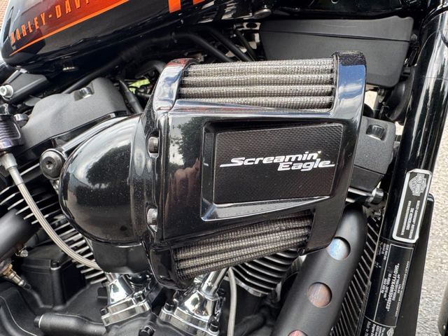 harley-davidson - street-bob
