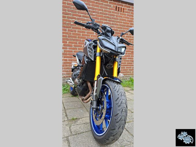 yamaha - mt-09-sp