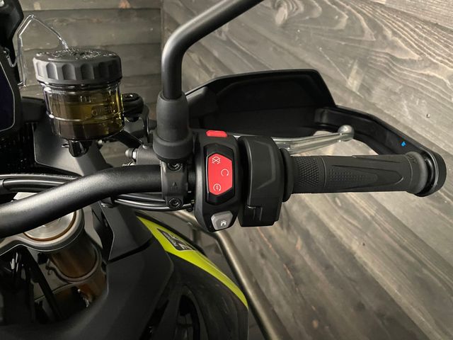 triumph - tiger-900-rally-pro