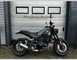 Benelli Leoncino 500 2026 nieuw