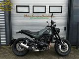 BENELLI LEONCINO 500
