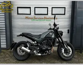 Benelli Leoncino 500 2026 nieuw