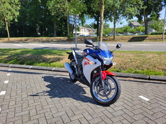 honda - cbr-250-r-c-abs