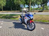 HONDA CBR 250 R C-ABS