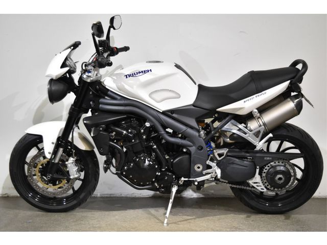 triumph - speed-triple