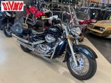 SUZUKI C 800 INTRUDER