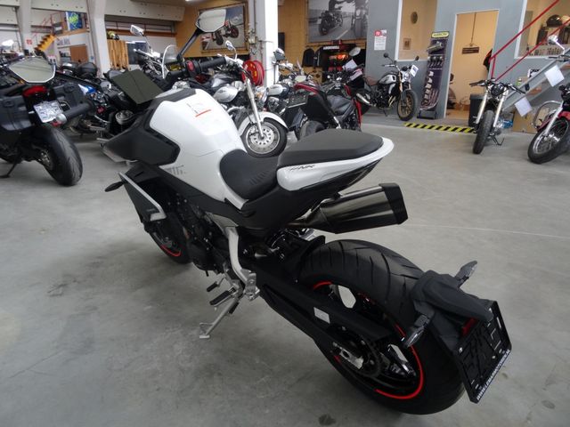 cfmoto - 800-nk-sport