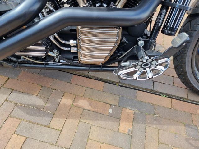 harley-davidson - cross-bones-flstsb