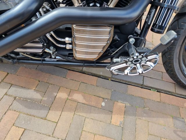harley-davidson - cross-bones-flstsb