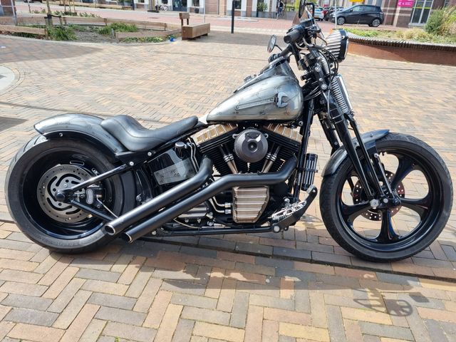 harley-davidson - cross-bones-flstsb