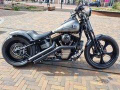 HARLEY-DAVIDSON CROSS BONES FLSTSB
