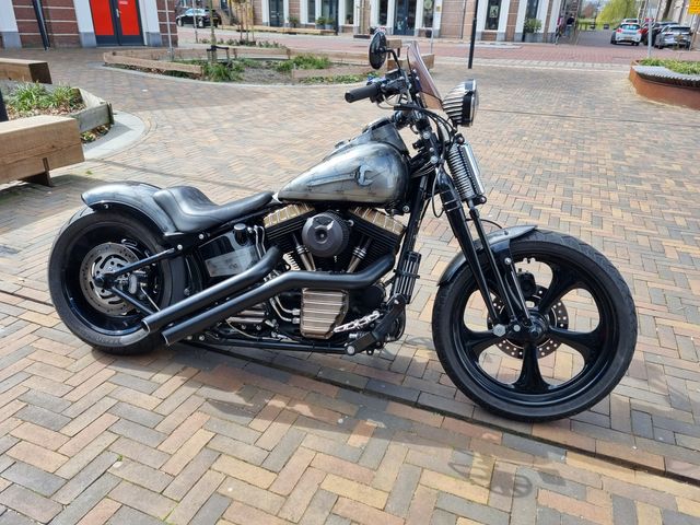 harley-davidson - cross-bones-flstsb