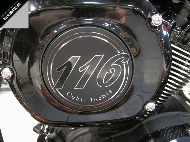 indian - chief-dark-horse