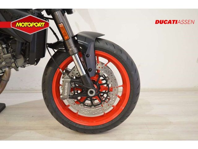 ducati - monster