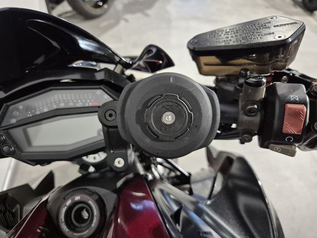 kawasaki - z1000-sugomi-edition