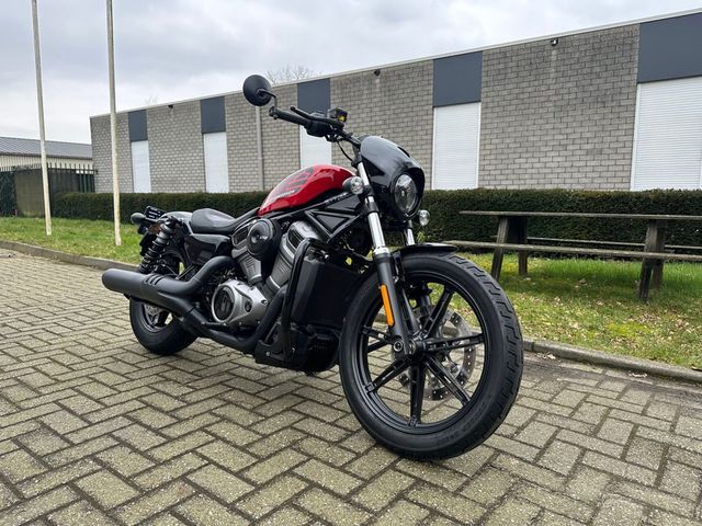 harley-davidson - nightster-rh-975