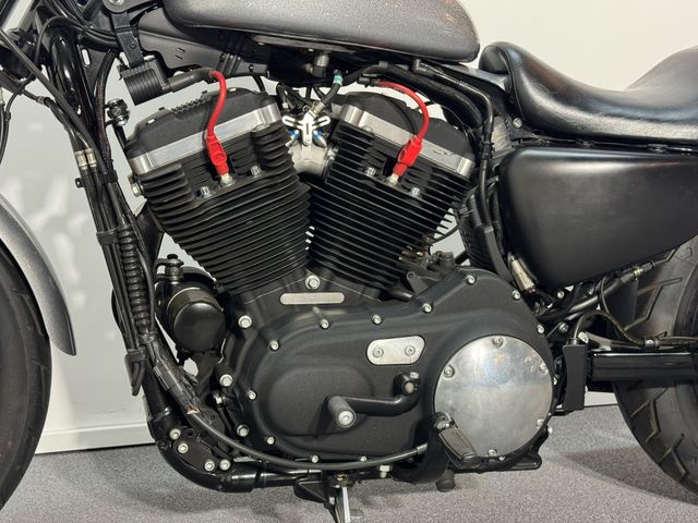 harley-davidson - sportster-iron-883