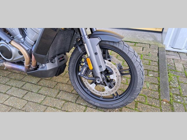 harley-davidson - pan-america