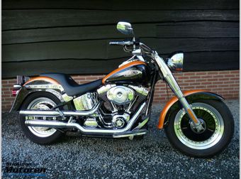 Harley-Davidson FAT BOY Flstfi 2003 occasion