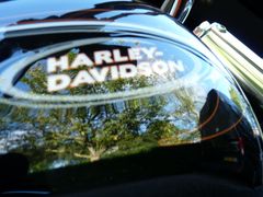 Harley-Davidson 88 Flstfi Fat Boy 2003 occasion – foto 16 van 20