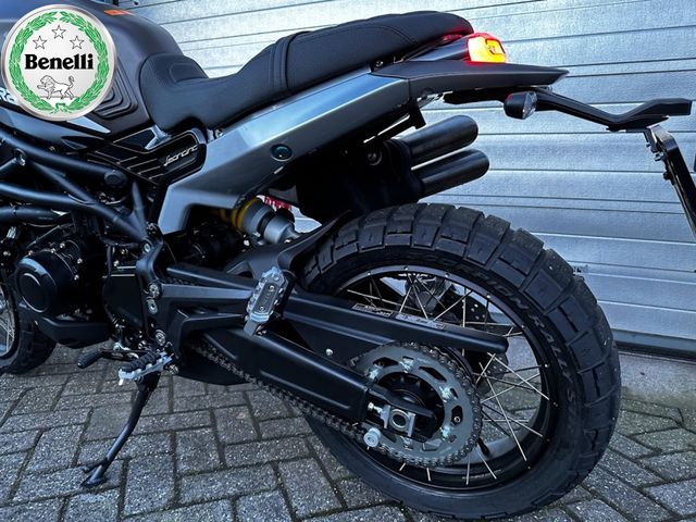 benelli - leoncino-800-trail
