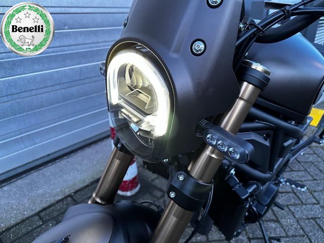 benelli - leoncino-800-trail