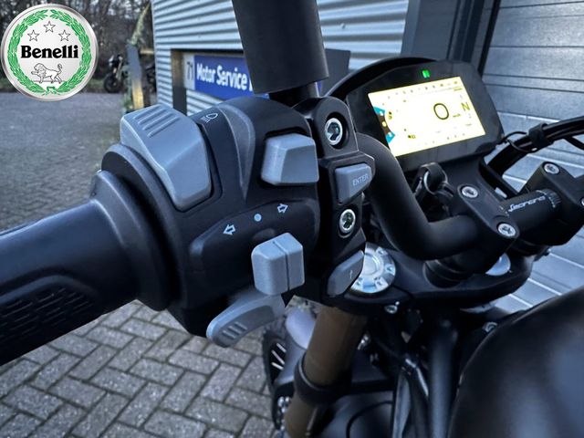 benelli - leoncino-800-trail