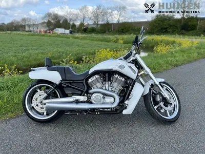 HARLEY-DAVIDSON V-ROD MUSCLE VRSCF – foto 4