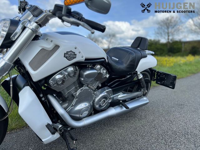 harley-davidson - v-rod-muscle-vrscf