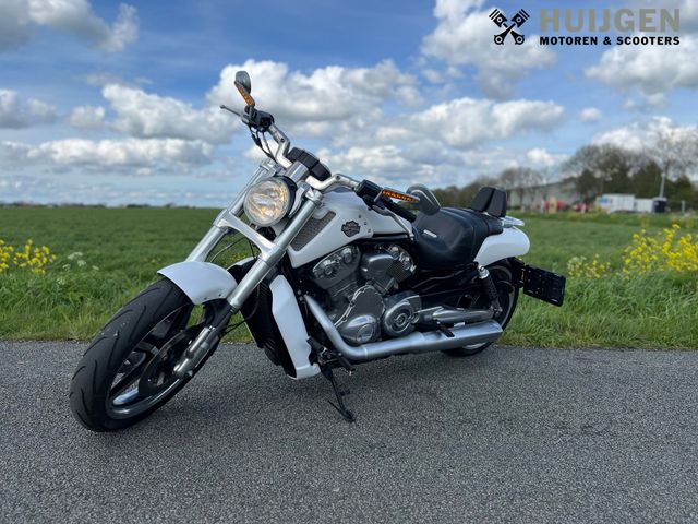 harley-davidson - v-rod-muscle-vrscf