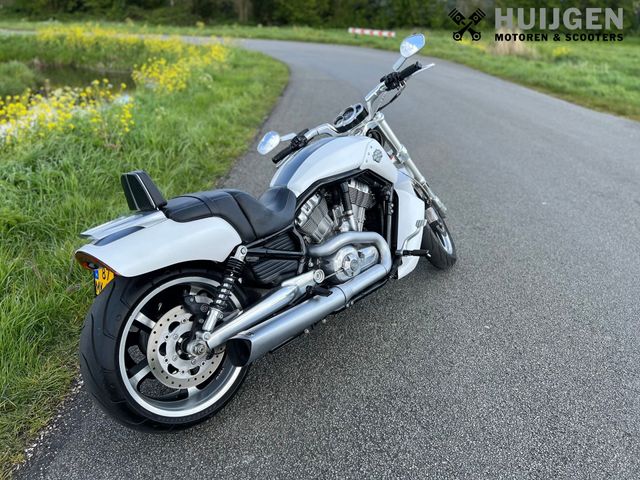harley-davidson - v-rod-muscle-vrscf
