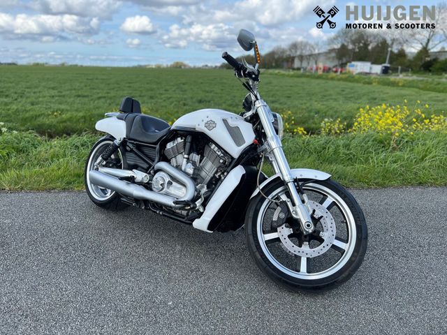harley-davidson - v-rod-muscle-vrscf