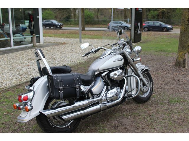 suzuki - 800-intruder