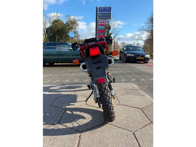 honda - nx-650--dominator