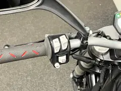 Ducati Monster 797 2017 occasion – foto 21 van 24