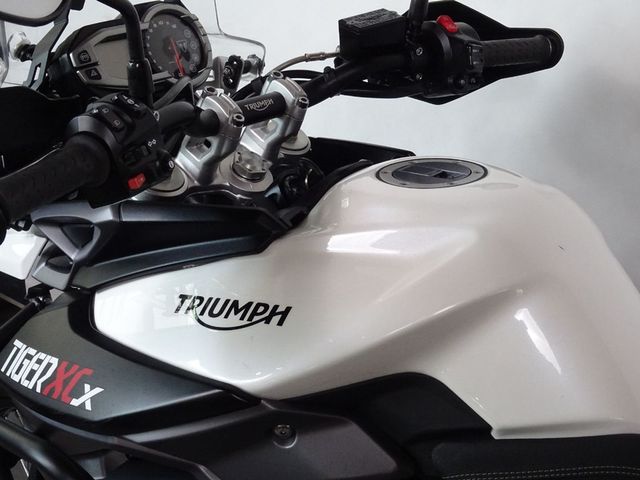 triumph - tiger-800-xcx