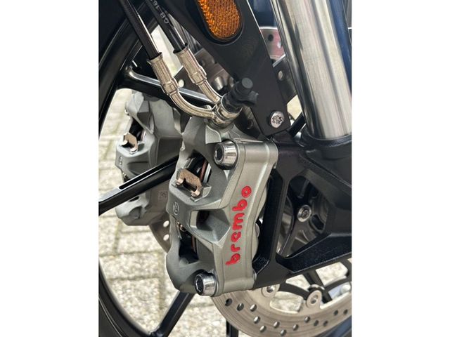 triumph - tiger-900-gt-pro