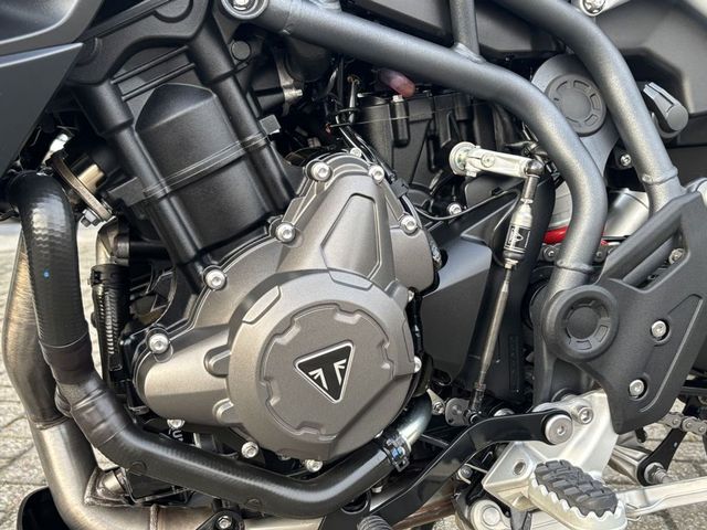 triumph - tiger-900-gt-pro