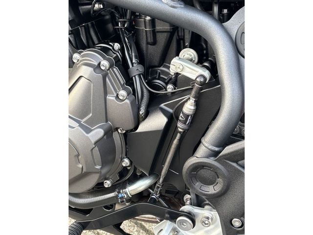 triumph - tiger-900-gt-pro