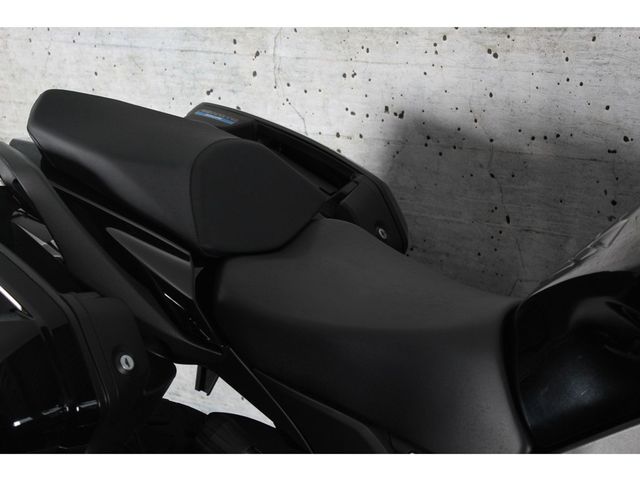 kawasaki - ninja-1000sx-tourer