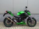 KAWASAKI Z 300